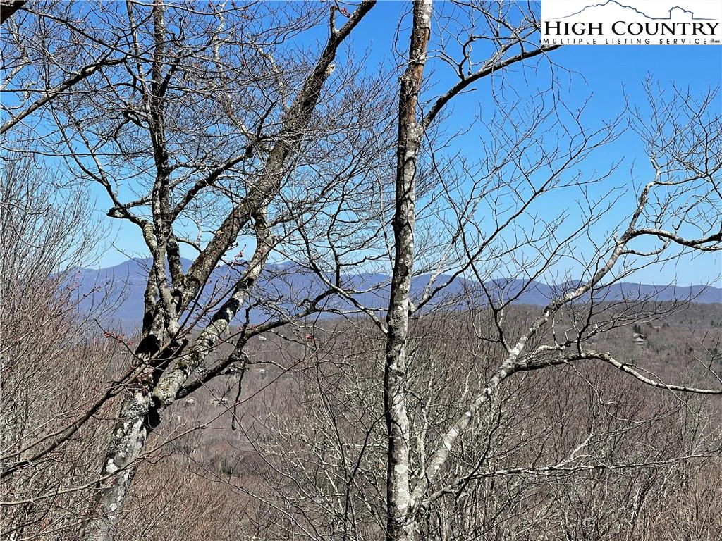 Image number 1 for the current listing