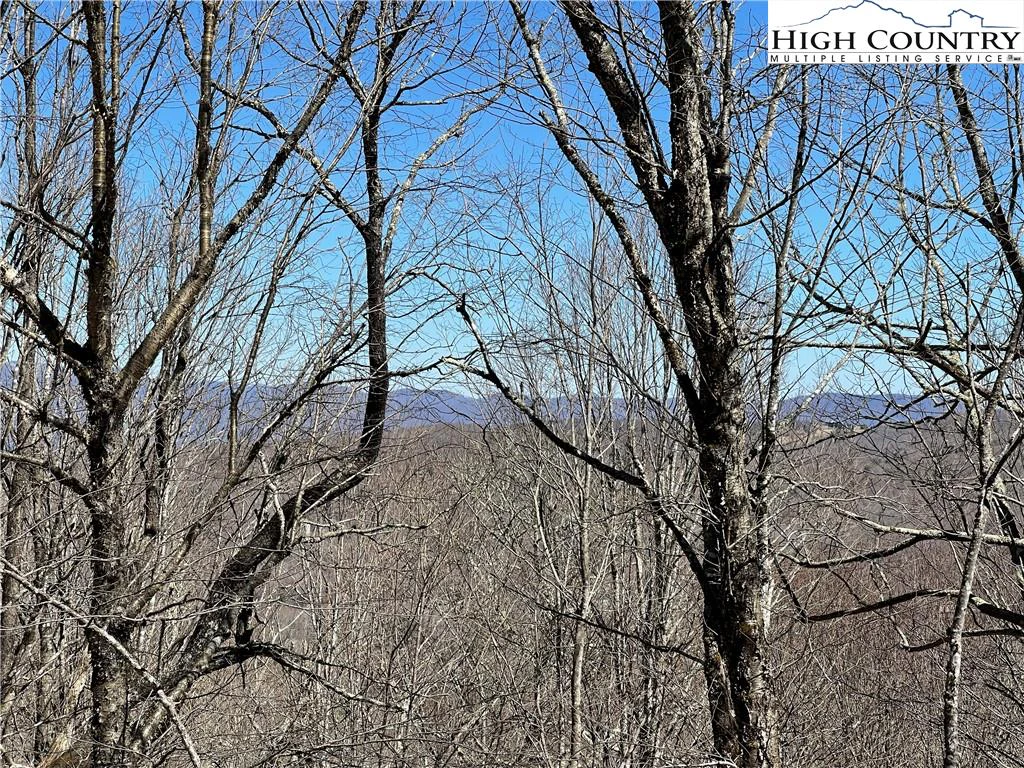 Image number 3 for the current listing