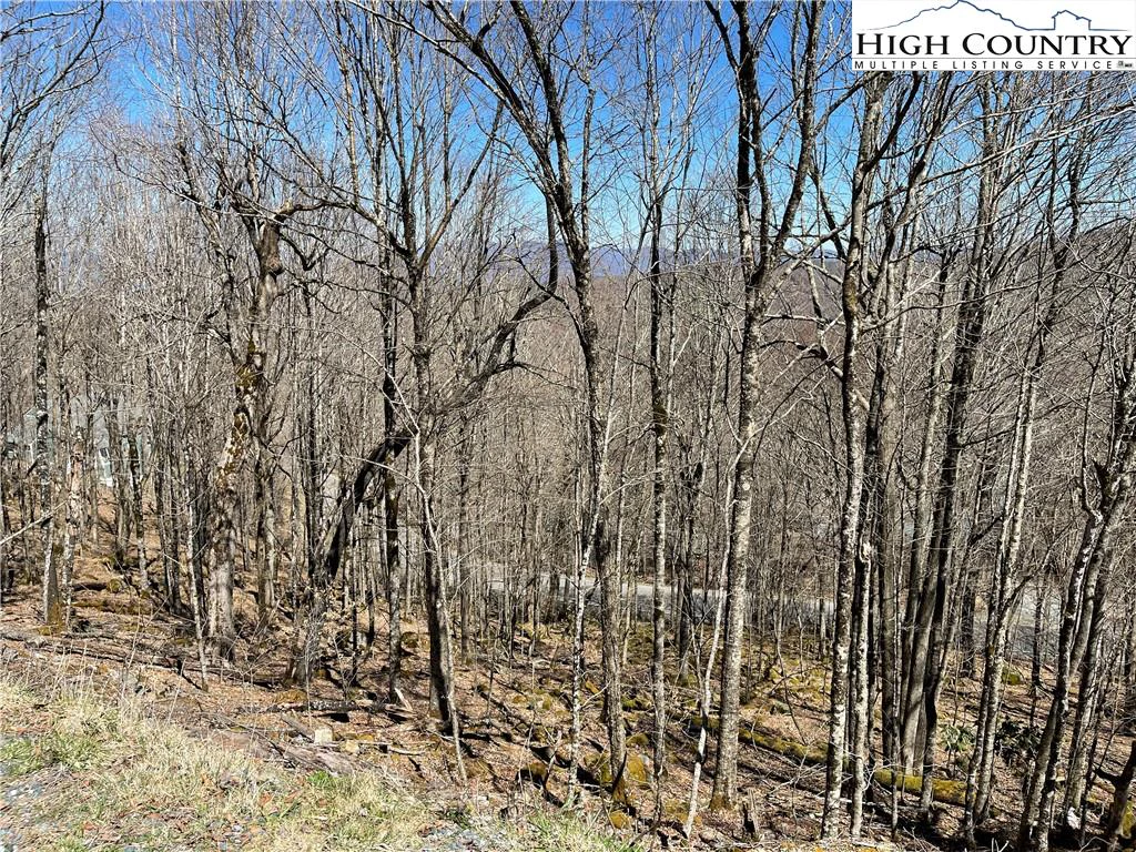 Image number 4 for the current listing