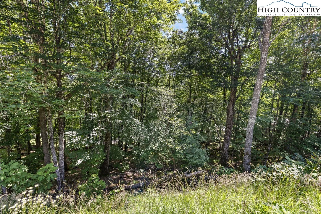 Image number 16 for the current listing