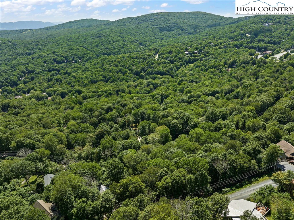 Image number 11 for the current listing