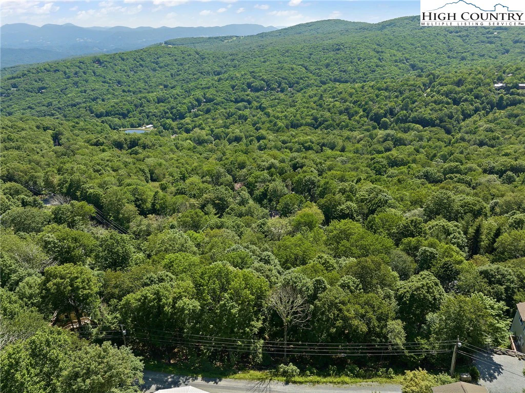 Image number 2 for the current listing