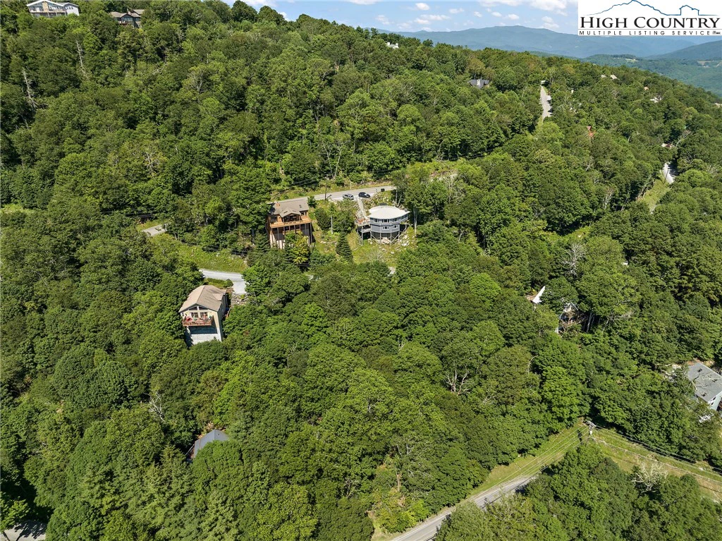 Image number 8 for the current listing