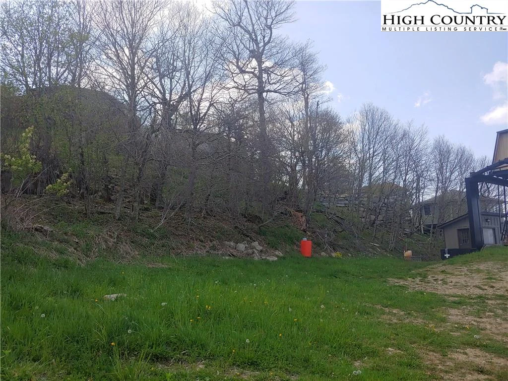 Image number 3 for the current listing