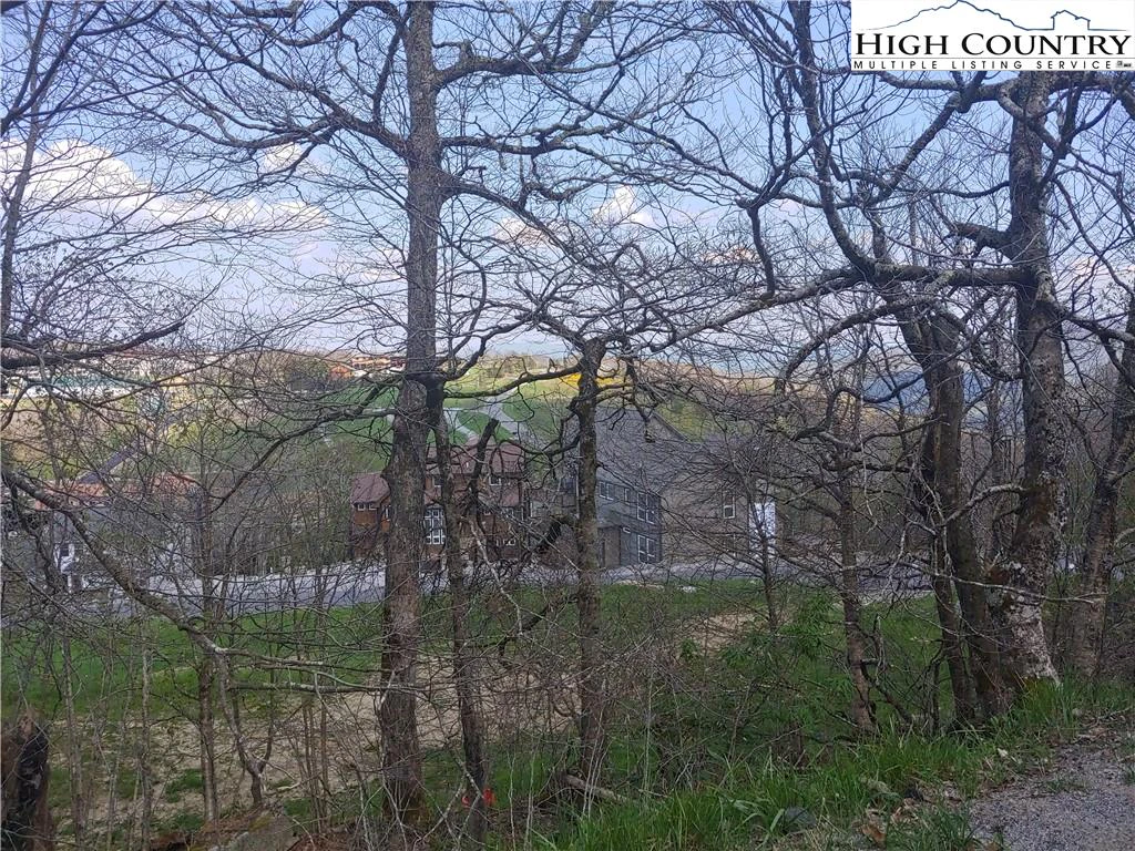 Image number 4 for the current listing