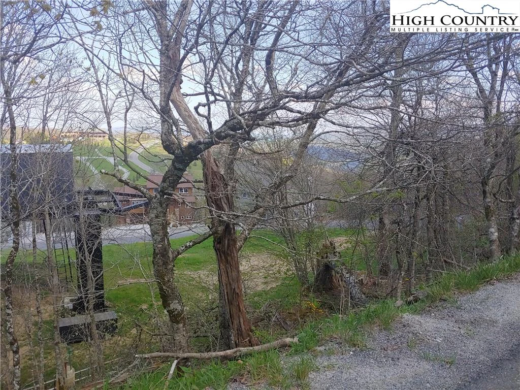 Image number 5 for the current listing