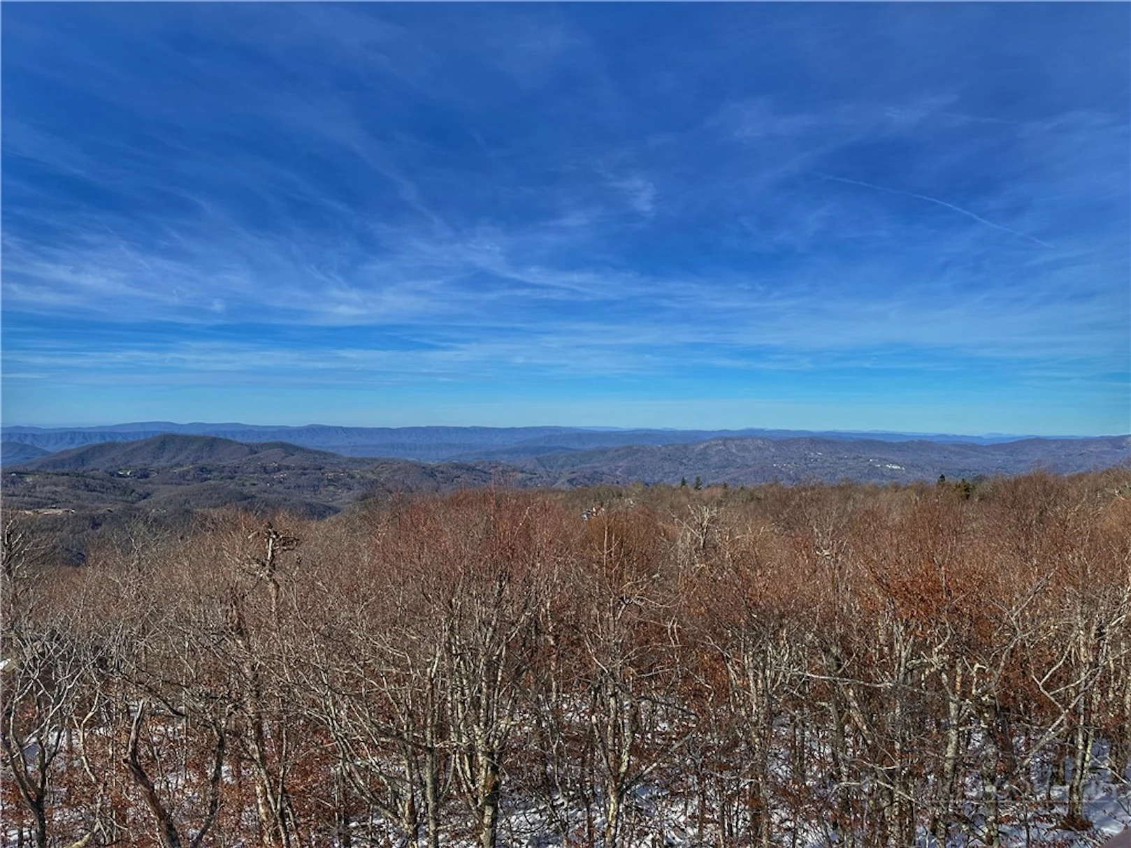 Image number 3 for the current listing