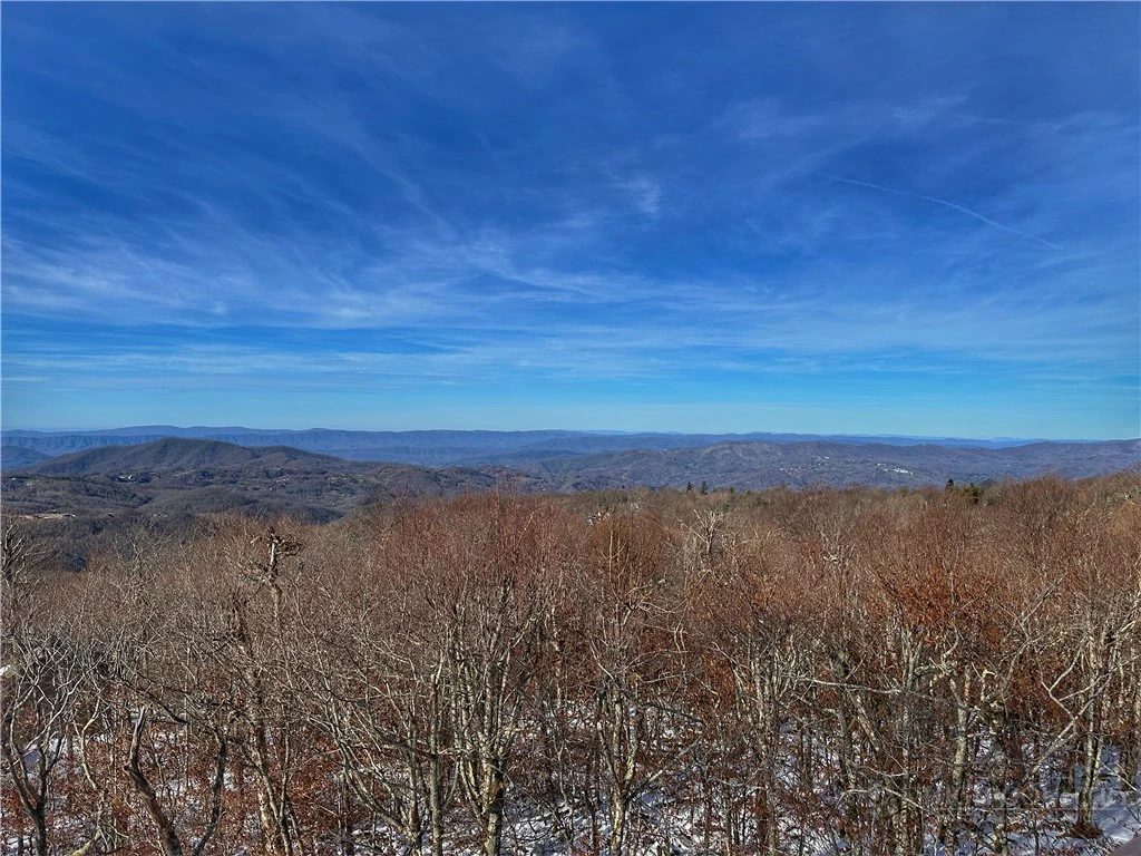 Image number 3 for the current listing