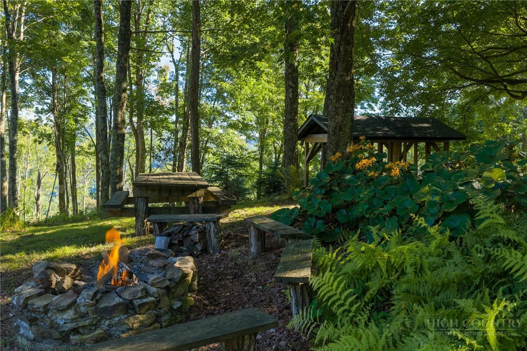 Image number 13 for the current listing