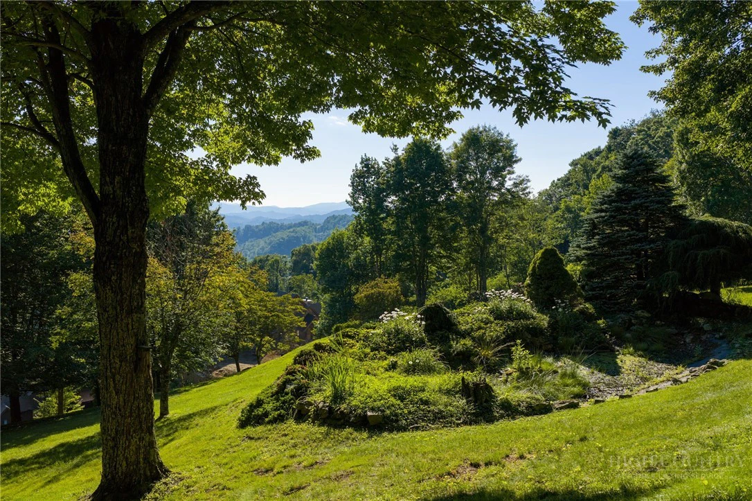 Image number 14 for the current listing