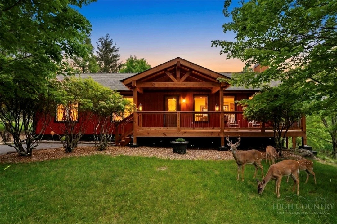 Image number 1 for the current listing