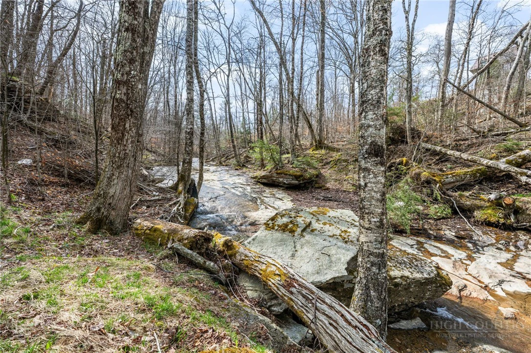 Image number 2 for the current listing