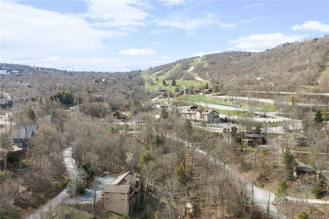 Image number 14 for the current listing