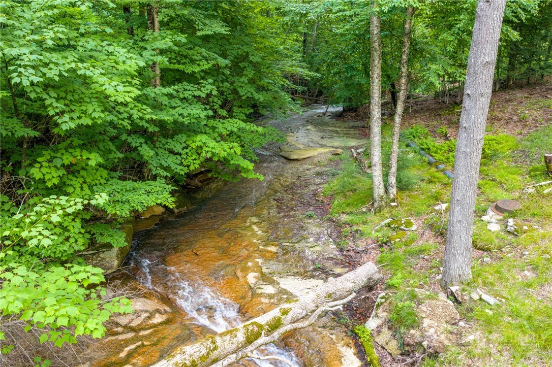 Image number 6 for the current listing