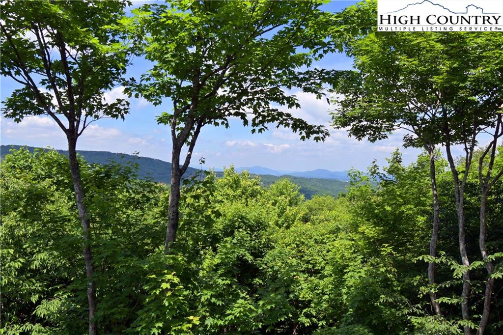 Image number 1 for the current listing