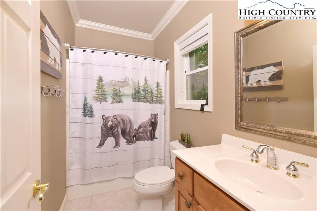 Image number 4 for the current listing