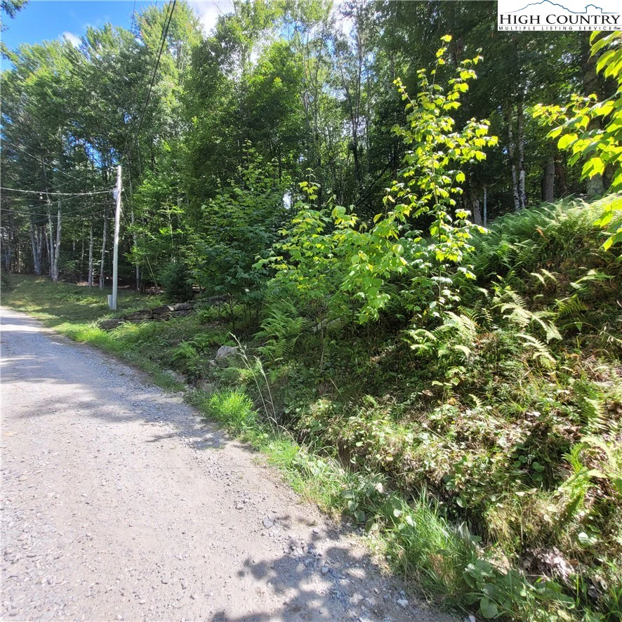 Image number 4 for the current listing
