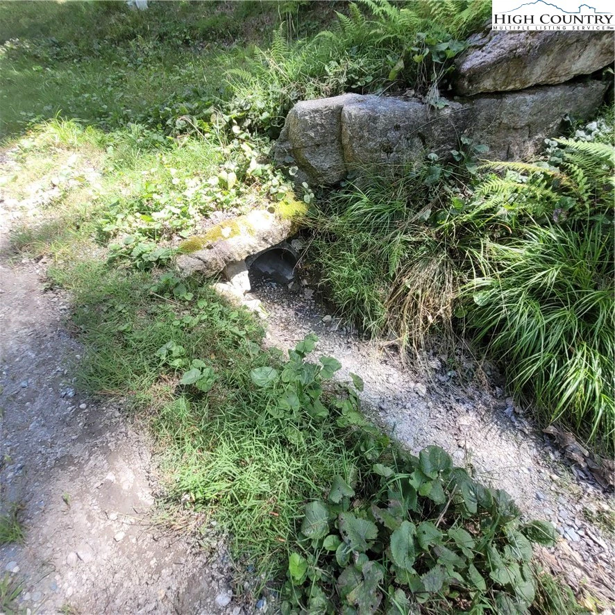 Image number 3 for the current listing
