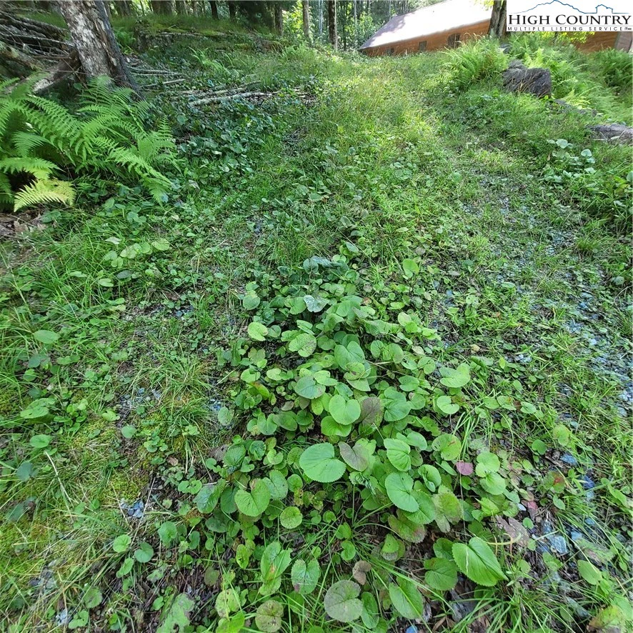 Image number 1 for the current listing