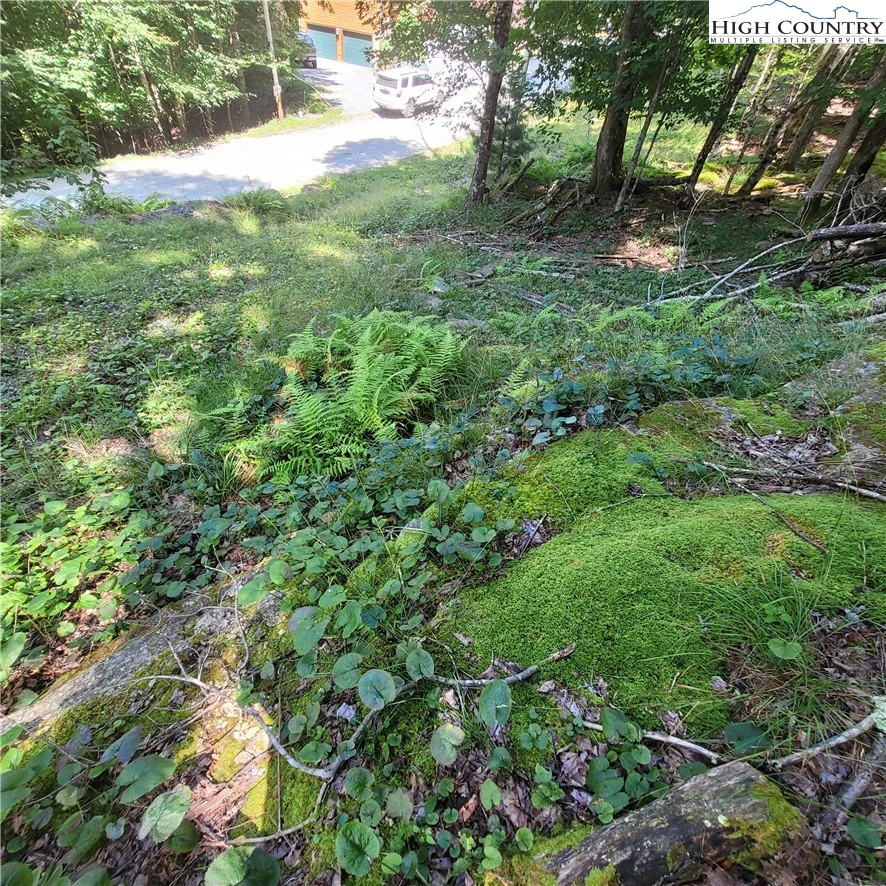 Image number 16 for the current listing