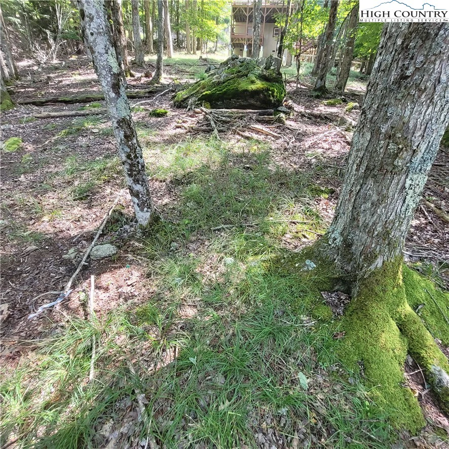 Image number 14 for the current listing