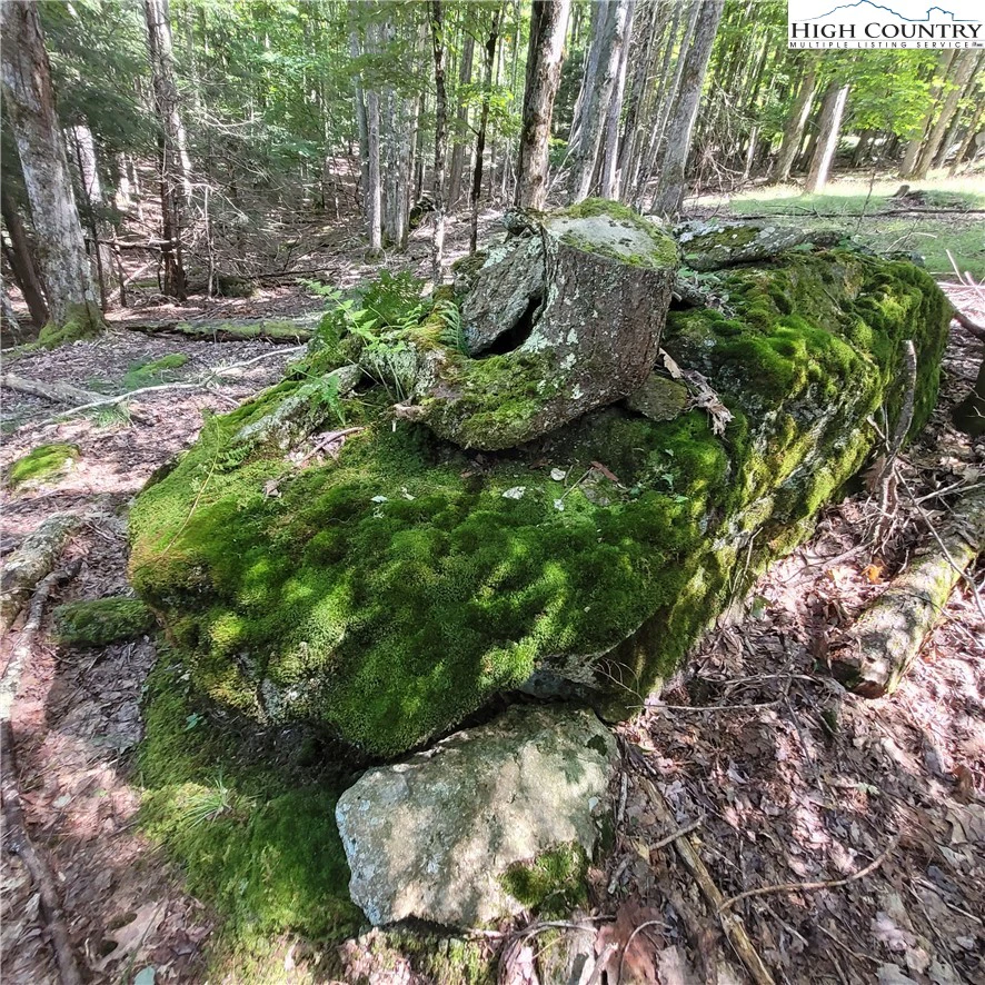 Image number 13 for the current listing