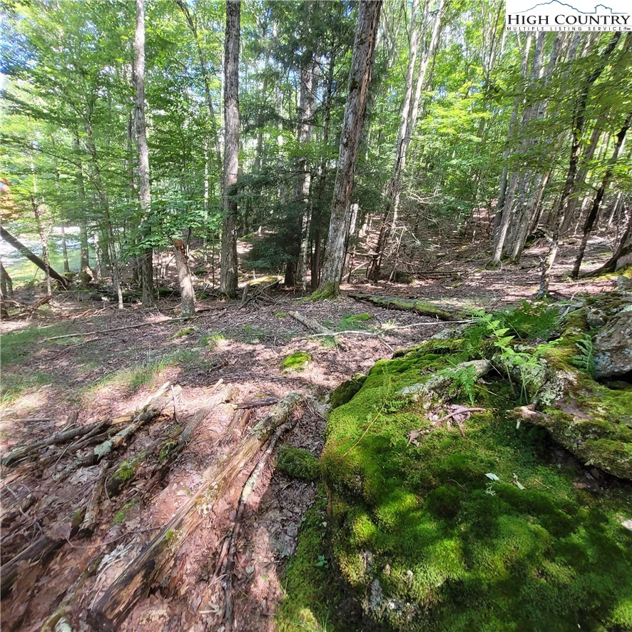 Image number 2 for the current listing