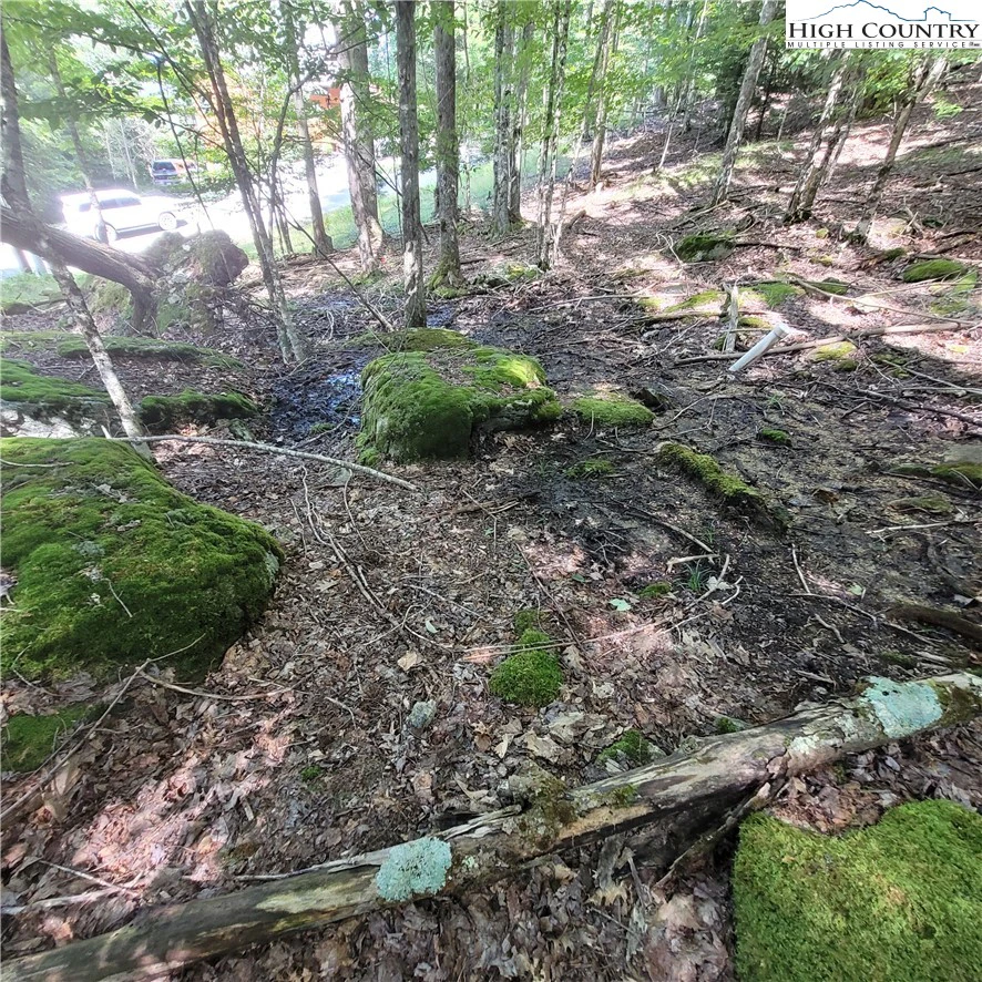 Image number 11 for the current listing