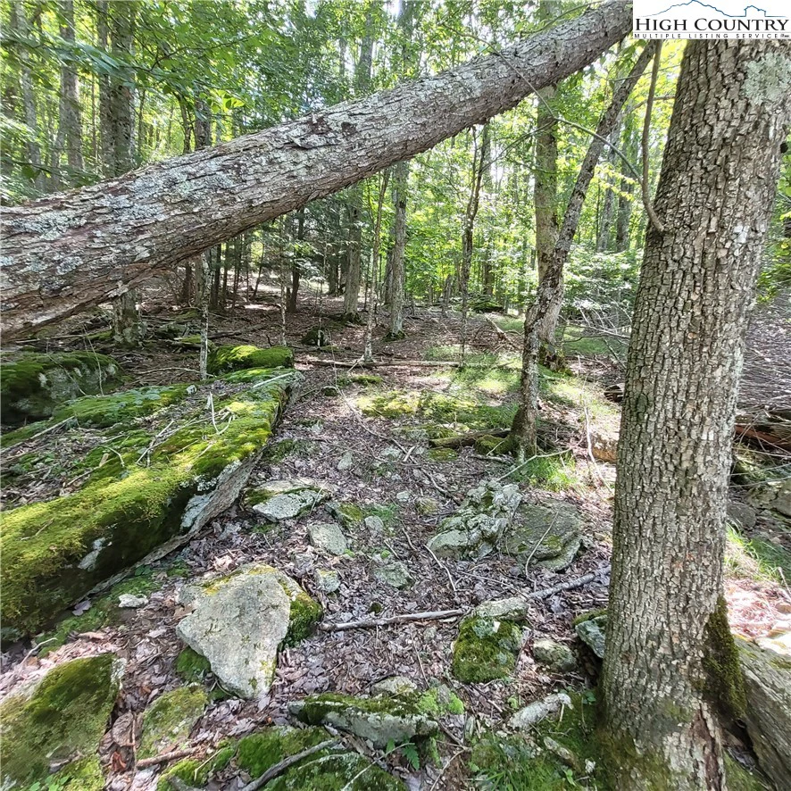 Image number 9 for the current listing