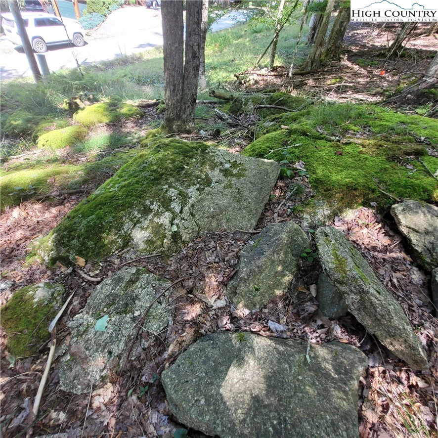 Image number 8 for the current listing