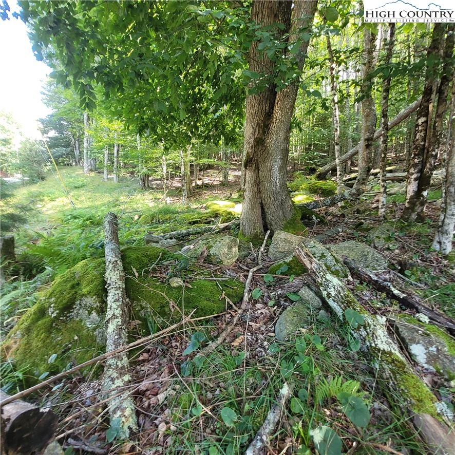 Image number 7 for the current listing