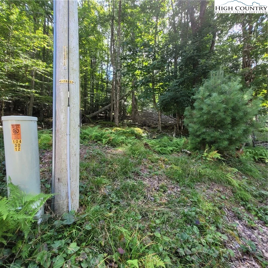 Image number 6 for the current listing
