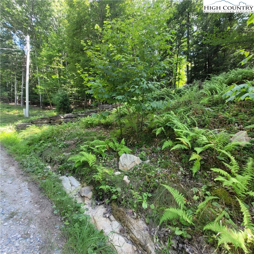 Image number 5 for the current listing