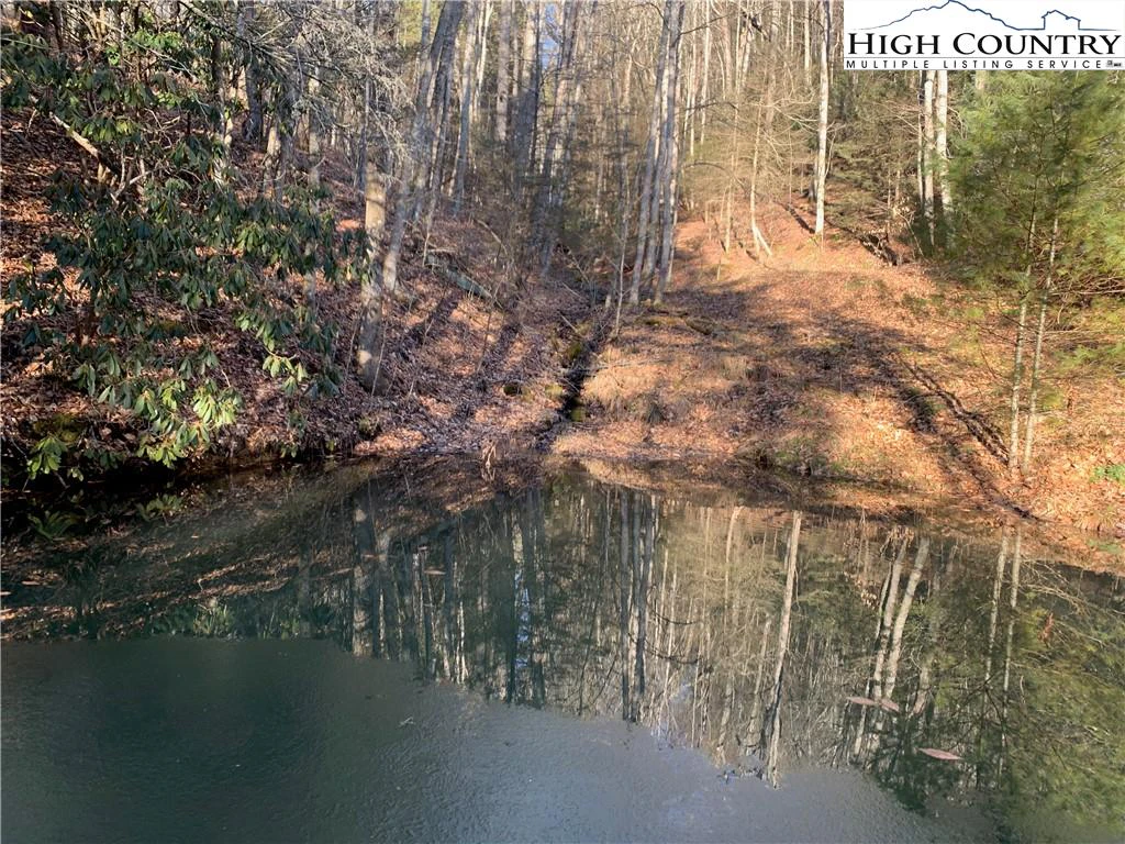 Image number 1 for the current listing