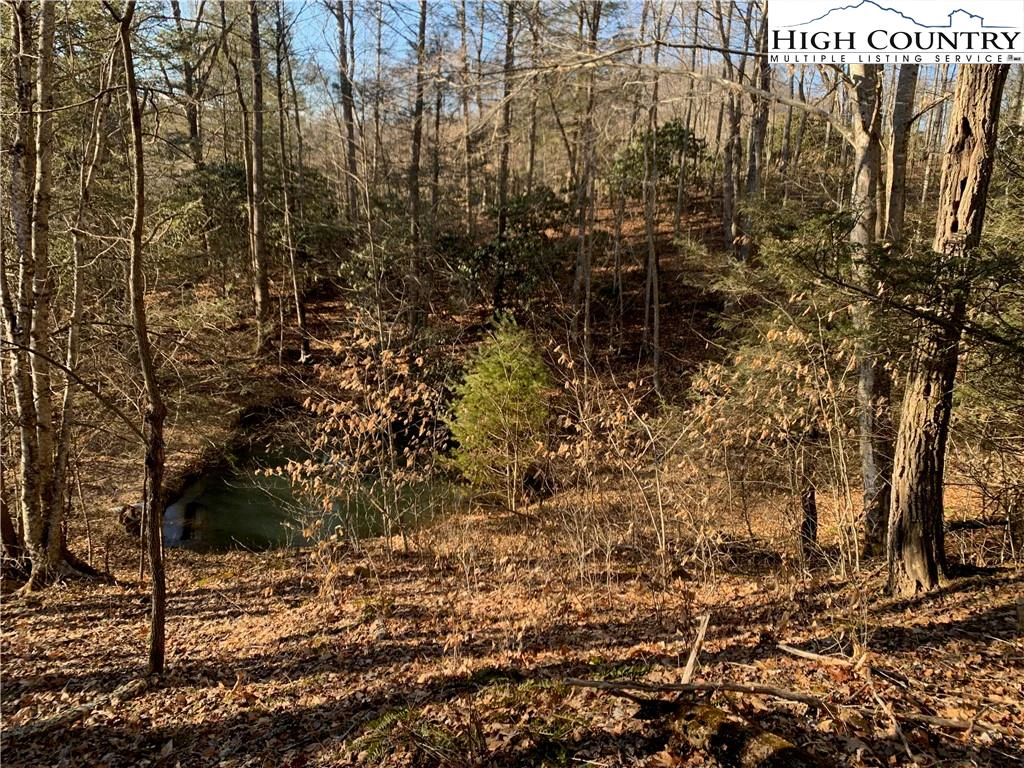 Image number 14 for the current listing