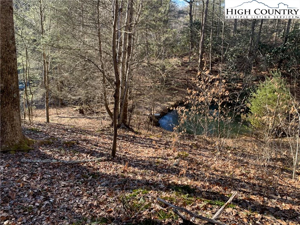 Image number 3 for the current listing