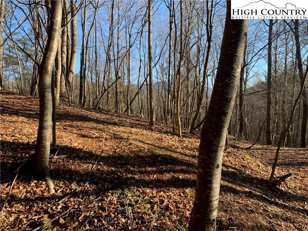 Image number 11 for the current listing