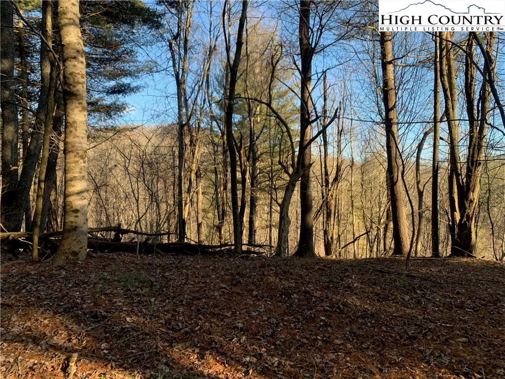Image number 13 for the current listing