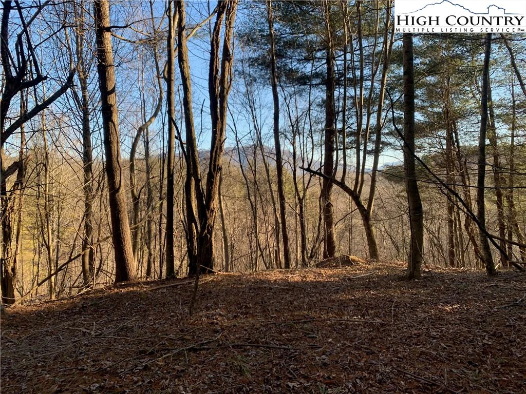 Image number 2 for the current listing