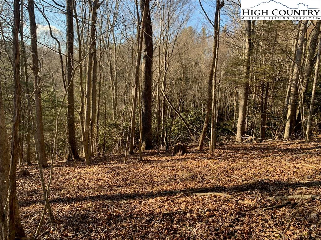 Image number 20 for the current listing