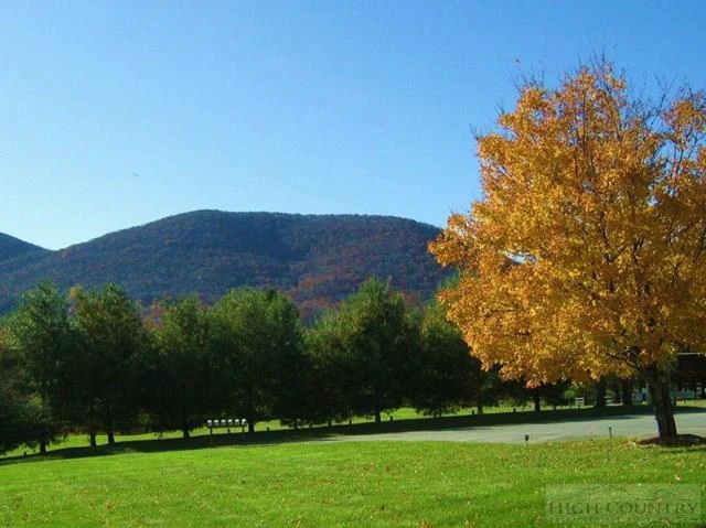 Image number 3 for the current listing