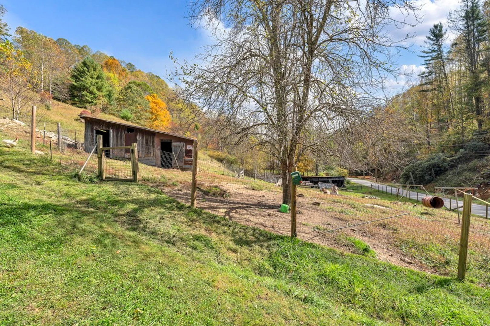 Image number 21 for the current listing