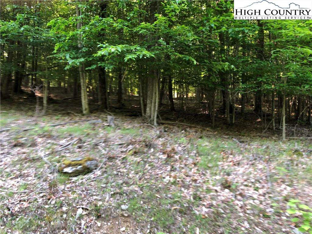 Image number 1 for the current listing