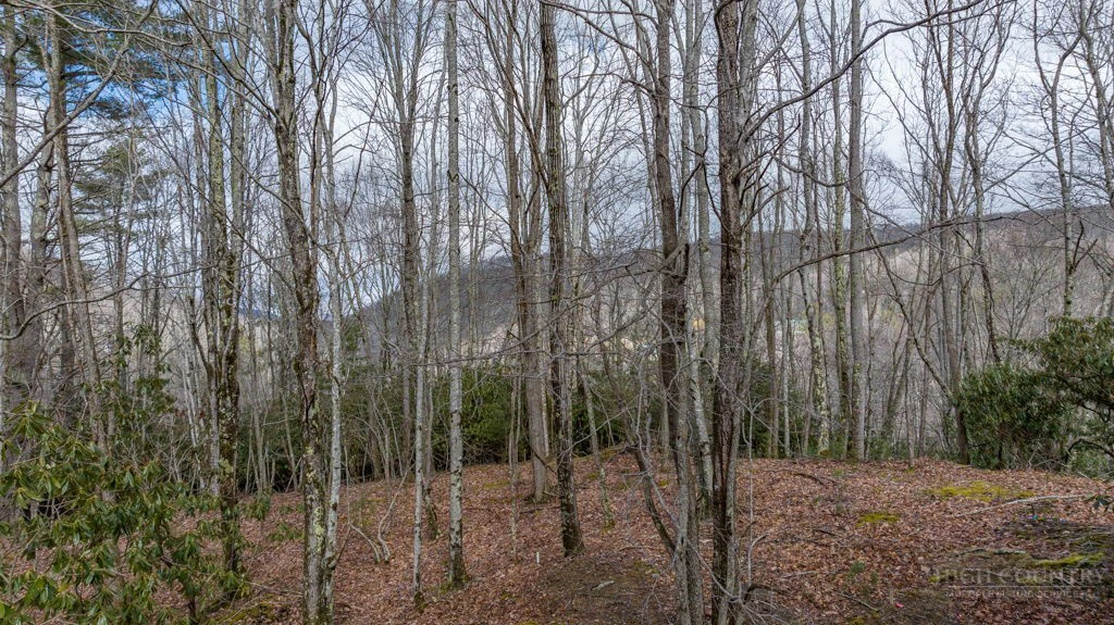 Image number 16 for the current listing
