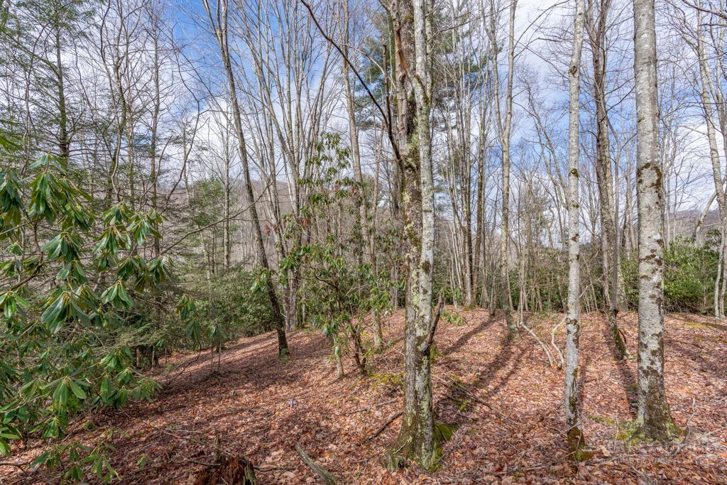 Image number 10 for the current listing
