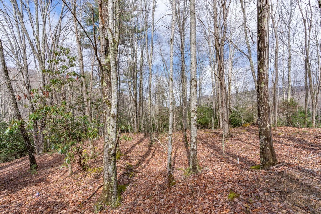Image number 2 for the current listing