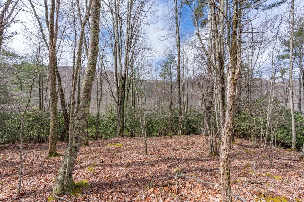 Image number 7 for the current listing