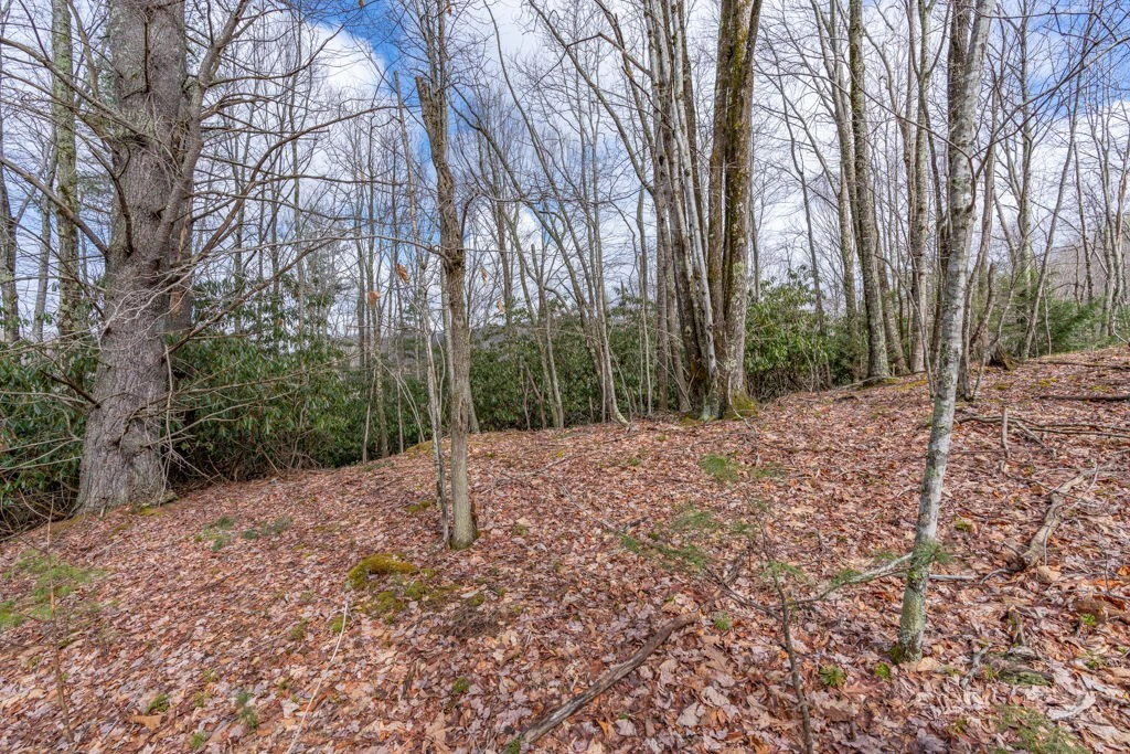 Image number 9 for the current listing
