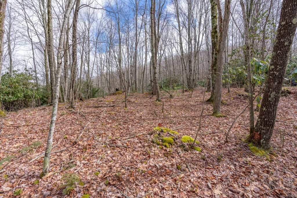 Image number 11 for the current listing