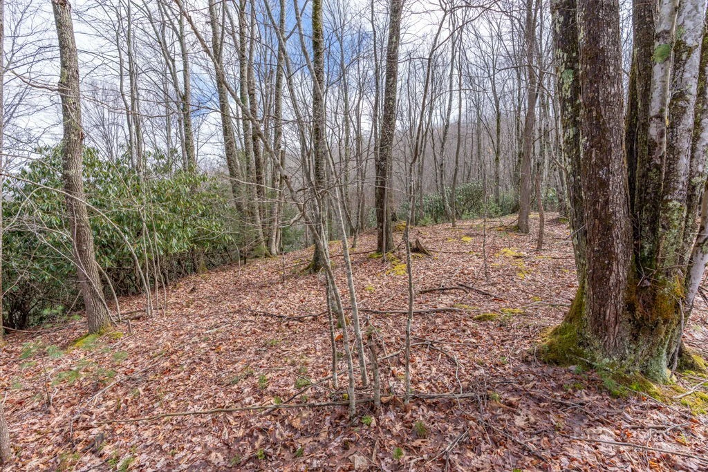 Image number 12 for the current listing